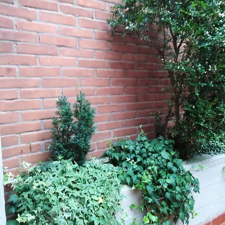 Apartment Casa Zaffalon U.a.n.c.